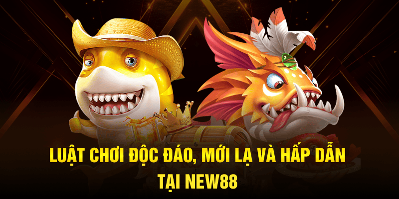 Luật chơi độc đáo, mới lạ và hấp dẫn tại NEW88