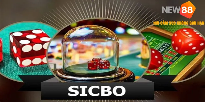 Sicbo 🎯 Mẹo Nhận Thưởng Nhanh – Bí Kíp Săn Quà Đặc Biệt 2025 4 Những chiến thuật chơi nhanh chóng giành thắng lớn