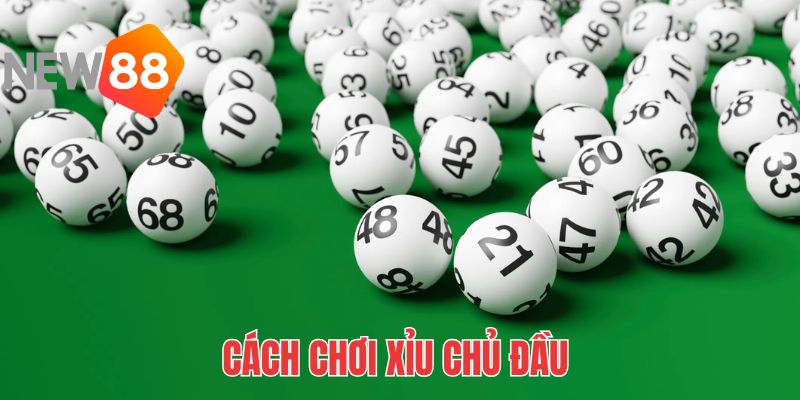 Xỉu Chủ Là Gì? - Cách Chơi & Soi Cầu Hiệu Quả Từ NEW88 2025 2 Chủ đặc biệt chỉ áp dụng cho giải đặc biệt, còn gọi là 3 càng