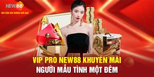 VIP PRO NEW88 Khuyến Mãi Người Mẫu Tình Một Đêm
